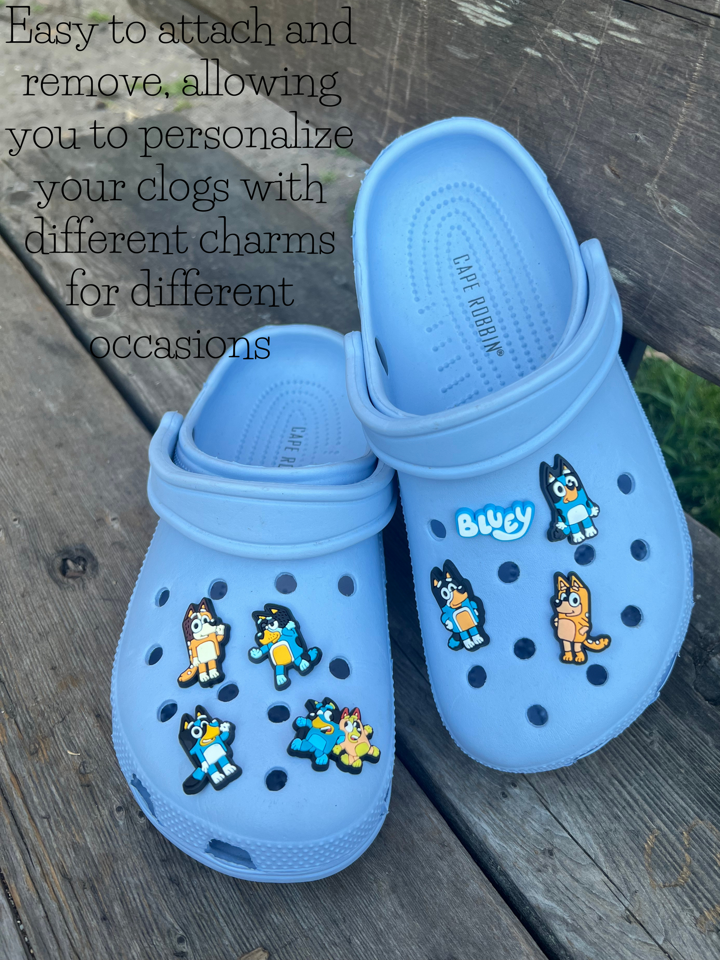 Bluey Shoe Charms